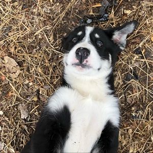 Meet your Posher, Derek